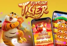 fortune tiger